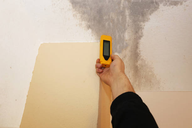 Best Post-Remediation Verification Testing  in Liberty, KY