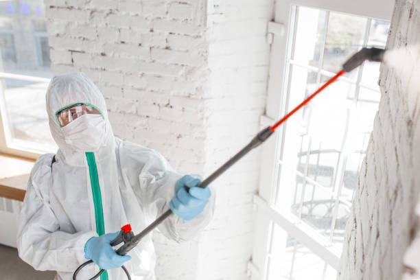 Best Forensic Mold Investigation  in Liberty, KY