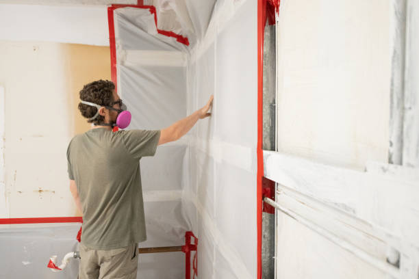 Best Mold-Related Health Consultation  in Liberty, KY