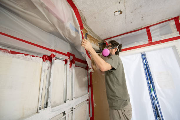 Best Commercial Mold Inspection  in Liberty, KY
