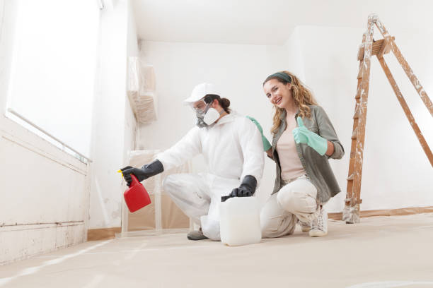 Best Mold Documentation for Insurance Claims  in Liberty, KY